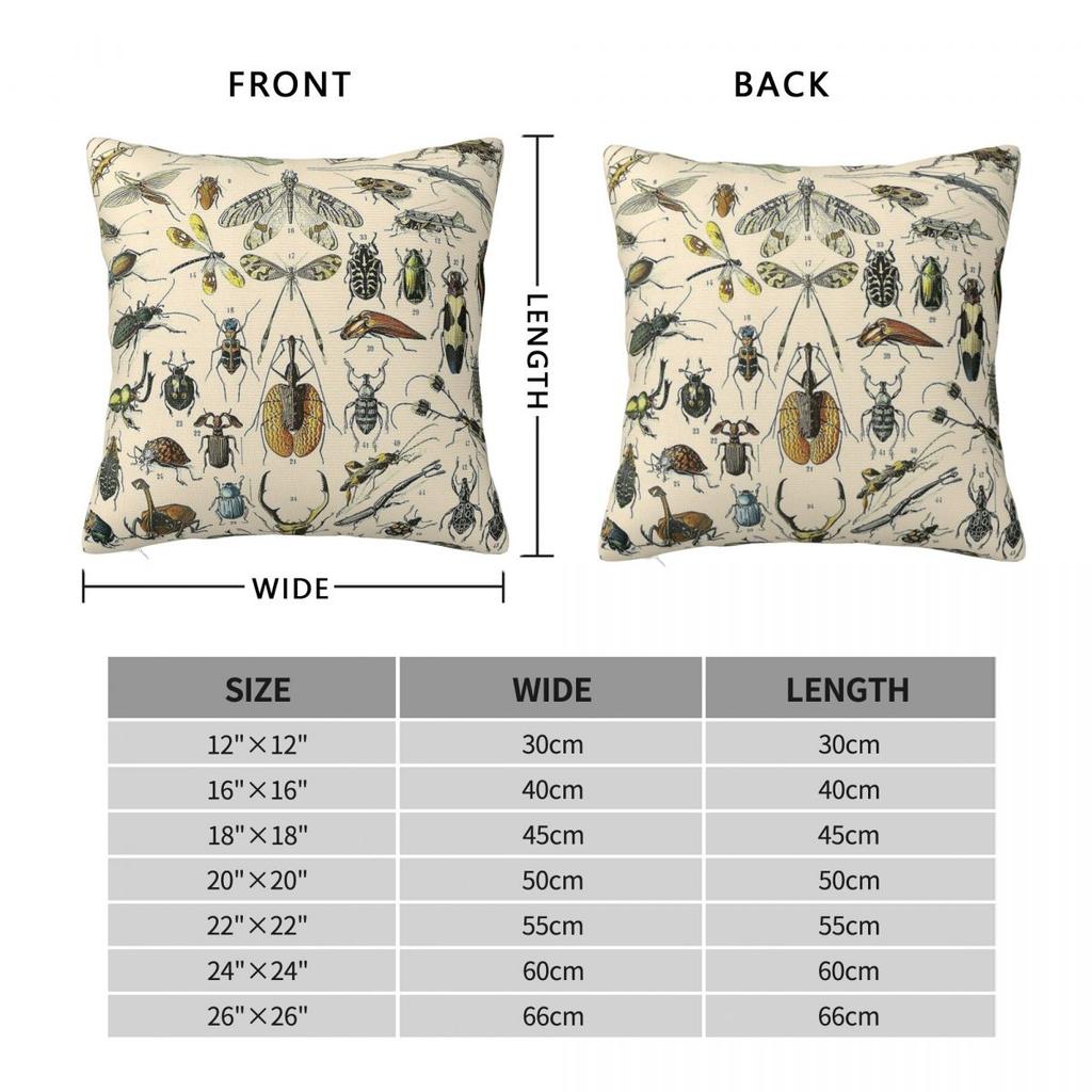 Insects Vintage Bug Chart Square Pillowcase Polyester Linen Velvet Printed Zip Decorative Sofa Cushion Cover
