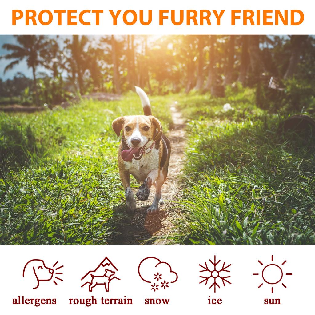 30g Pet Paw Balm Care Protection Cream Soother Natural Ingredients Dog-Cat Feet Lotion For Dog-Cat Puppy Kitten-Products