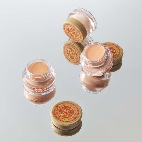Skinfood Salmon Dark Circle Concealer 3 Colors