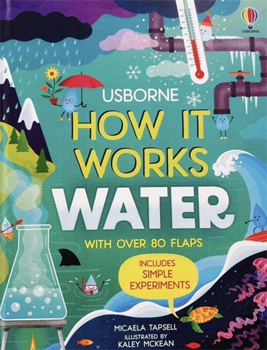 

Usborne Look Inside/See Inside: Reveal Series with Flip-Flap Mechanisms