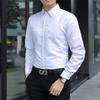 Men's 2025 Slim Fit Formal Long-Sleeved Shirt - Trendy Casual Solid Color Professional Attire