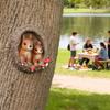 Resin Squirrel Ornament Weatherproof Resin Squirrel Figurine Tree Face for Outdoor Yard Garden Decoration Statue