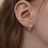 (925 Silver) Shining Rose Ear Jacket Earrings EC3072