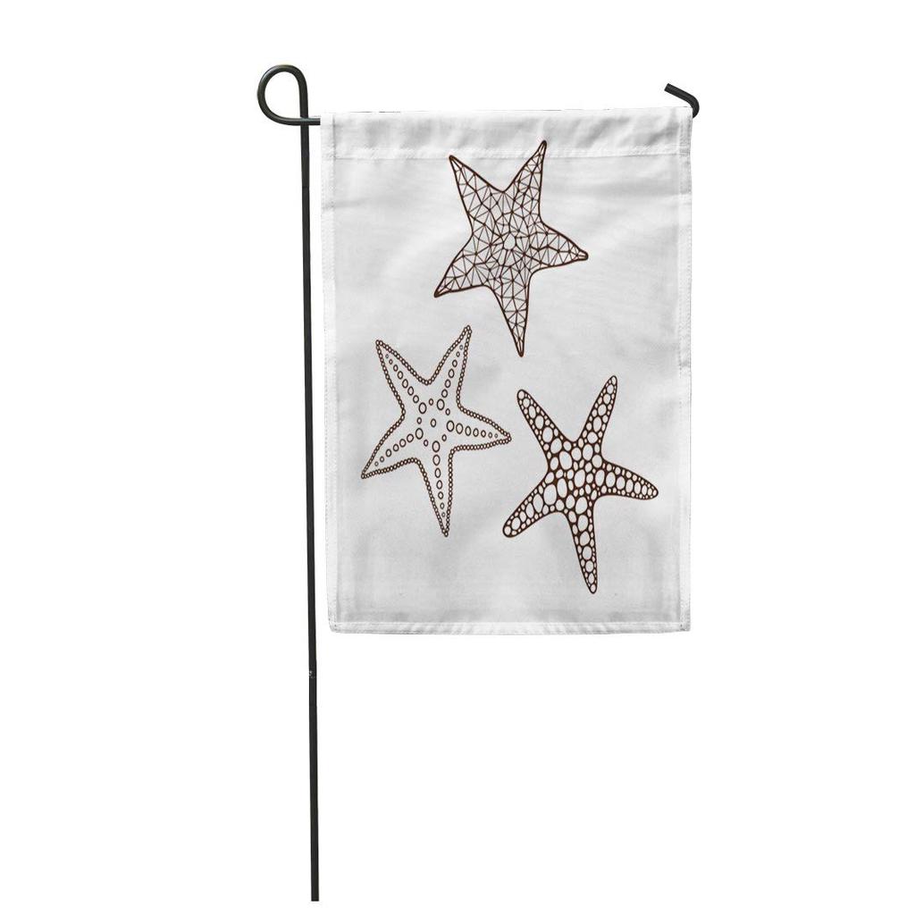 Buy Drawing Starfish On In Ocean Sea Shell Sketch Garden Flag House ...