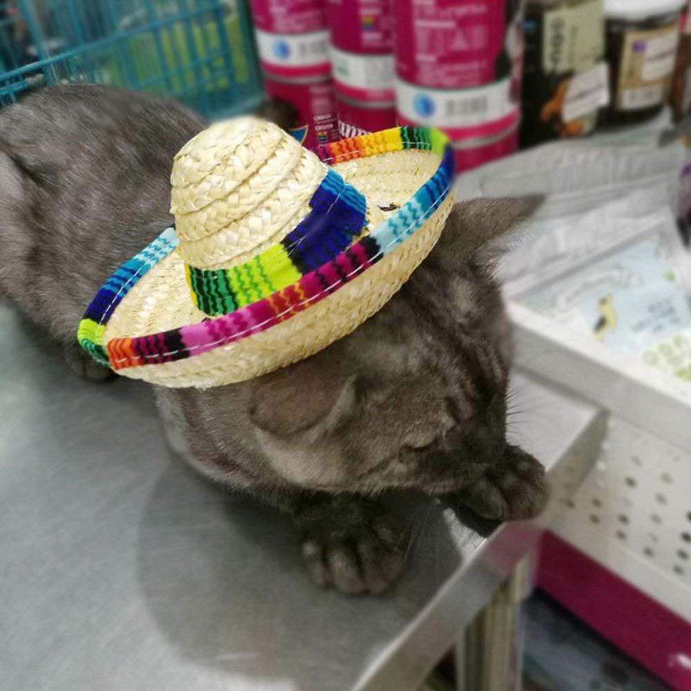 Dog Sombrero Hat Mini Straw Sombrero Hats Mexican Hats Sombrero Party Hats for Small Pets/Puppy/Cat