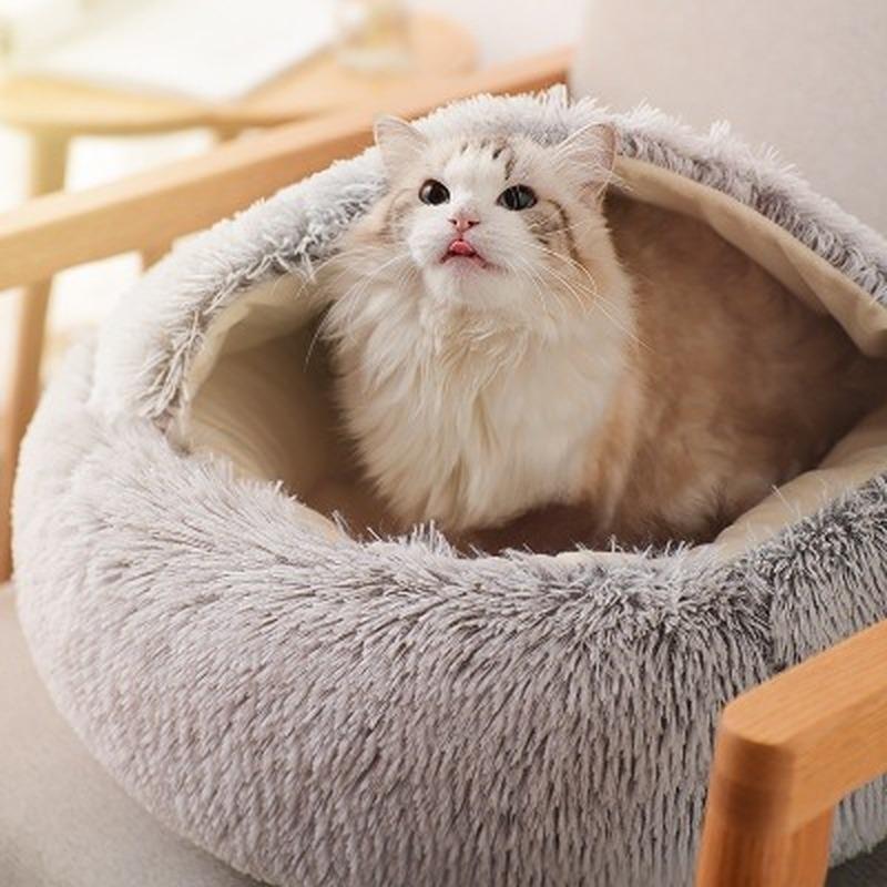 persian cat bed