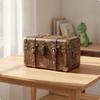 Kids Wooden Storage Chest for Toys Clothes Organizer with Decorative Metal