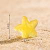 1Pc Home Decoration Cute Micro Landscape Colorful Artificial Coral Resin Ornaments For Fish Tank Aquarium Accessories