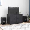 VidaXL TV Cabinet Black 67x39x44 Cm Steel, TV Stand, TV Unit, Multimedia Cabinet, TV Sideboard, Hi-fi Cabinet, Center of 841631