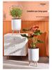Tall Indoor Self-Watering Plastic Planter with Stand - Large Size, Breathable for Balcony Gardening