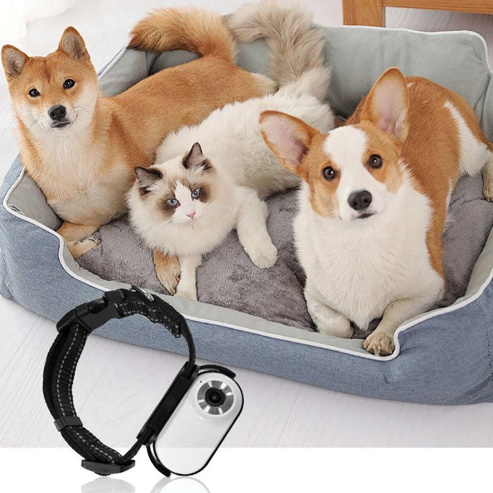 OTG Connection Dog Collar Camera 120 Deg Lens Video Recording Camera New Pet Collar Camera