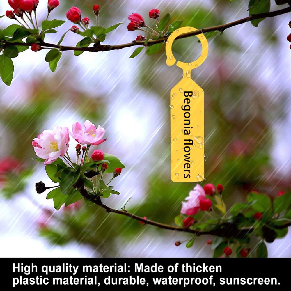 200PCS Plastic Plant Labels Lightweight Tree Labels Plant Tags  Nursery and Seedling Identification
