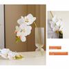 Silk Flower Simulation Butterfly Orchid 5 Heads Real Touch Artificial Phalaenopsis Bouquet Home Decor Photography Props