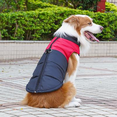 Giyim ve ayakkabı – Köpekler için yelekler ve gömlekler