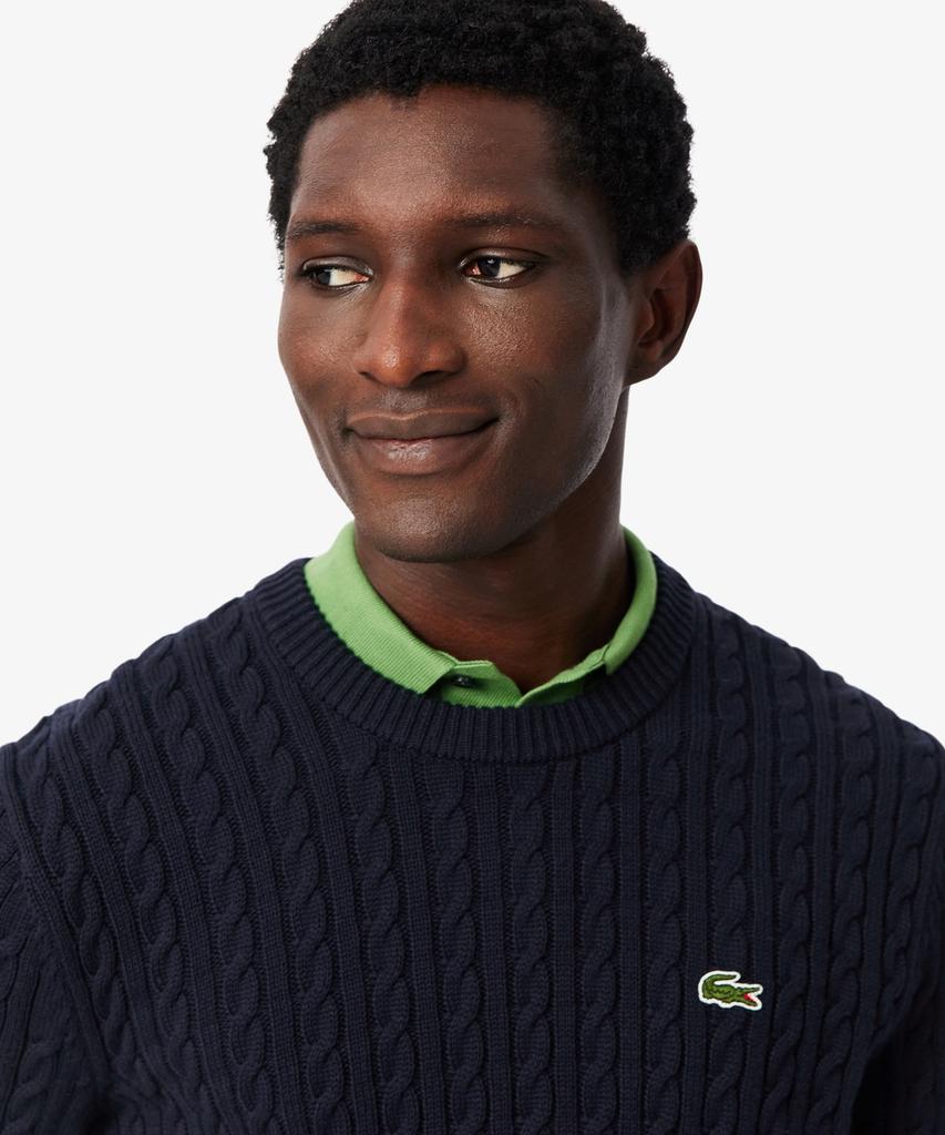 LACOSTE Men'S Cable Long Sleeve Crew Neck Pullover Ah7627-56G 802
