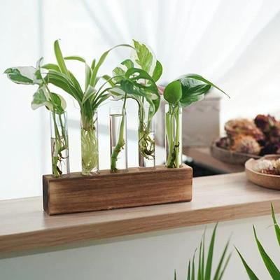 Exquisite Wooden Stand Hydroponic Vase Test Tube Shape Minimalist Flower Vase Transparent Creativity Glass Tube Vases Home Decor