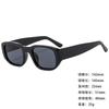 Sunglasses Wide Legs Small Frame Vgo88 Foreign Trade Square Fashion Trend Cat Eye Sunglasses