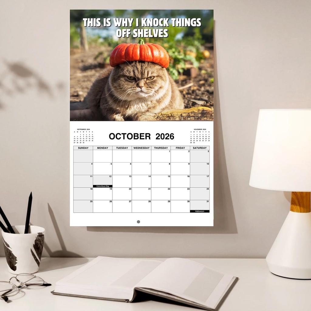 Peed-Off Cat Wall Calendar 2026 Funny Cat Meme Monthly Hanging Format  Home Office Decor New Year Gift 12 Monthly Family Planner