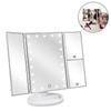 Makeup Mirror With Lights 22 Led Vanity Mirror With 2x/3x Magnification