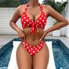 1011 new fashionable European and American sexy polka dot printing three-piece bikini split tight retro style