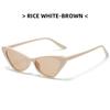 Retro Cat Eye Solbriller UV400 Shades Vintage Små Trekant Solbriller Hip Hop Briller Kvinner Kvinnelige Trendy Briller