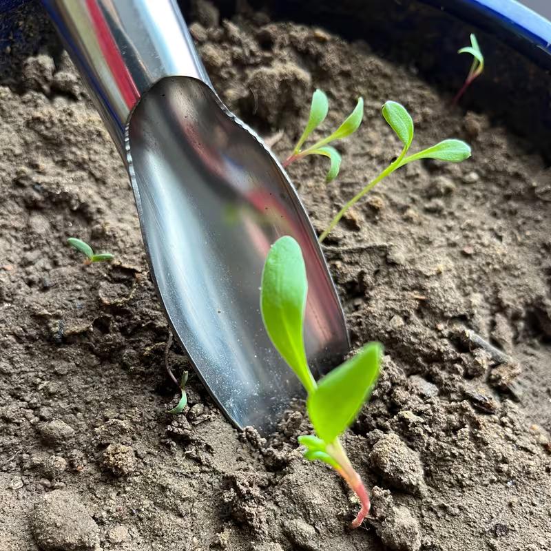 Stainless Steel -Leaf Trowel: Gardening Tool For Planting Flowers And Vegetables