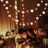 LED Pom Poms String Lights Battery Operated Fairy Light with 20 Faux Crystal Petals LEDs