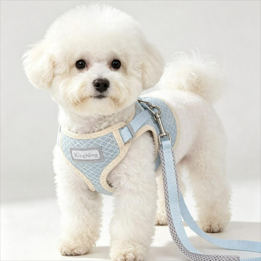 New Pet Products Adjustable Small Cat Harness Leash Set Breathable Cute Comfortable Medium Dog Collars Leash Accessories