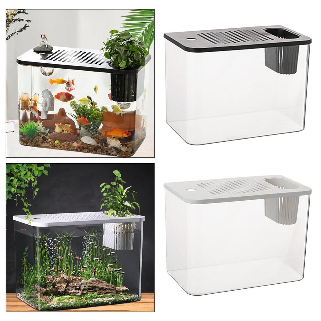 Reptile Tank Terrarium Desktop Breeding Tank Amphibian Feeding Box for Fish