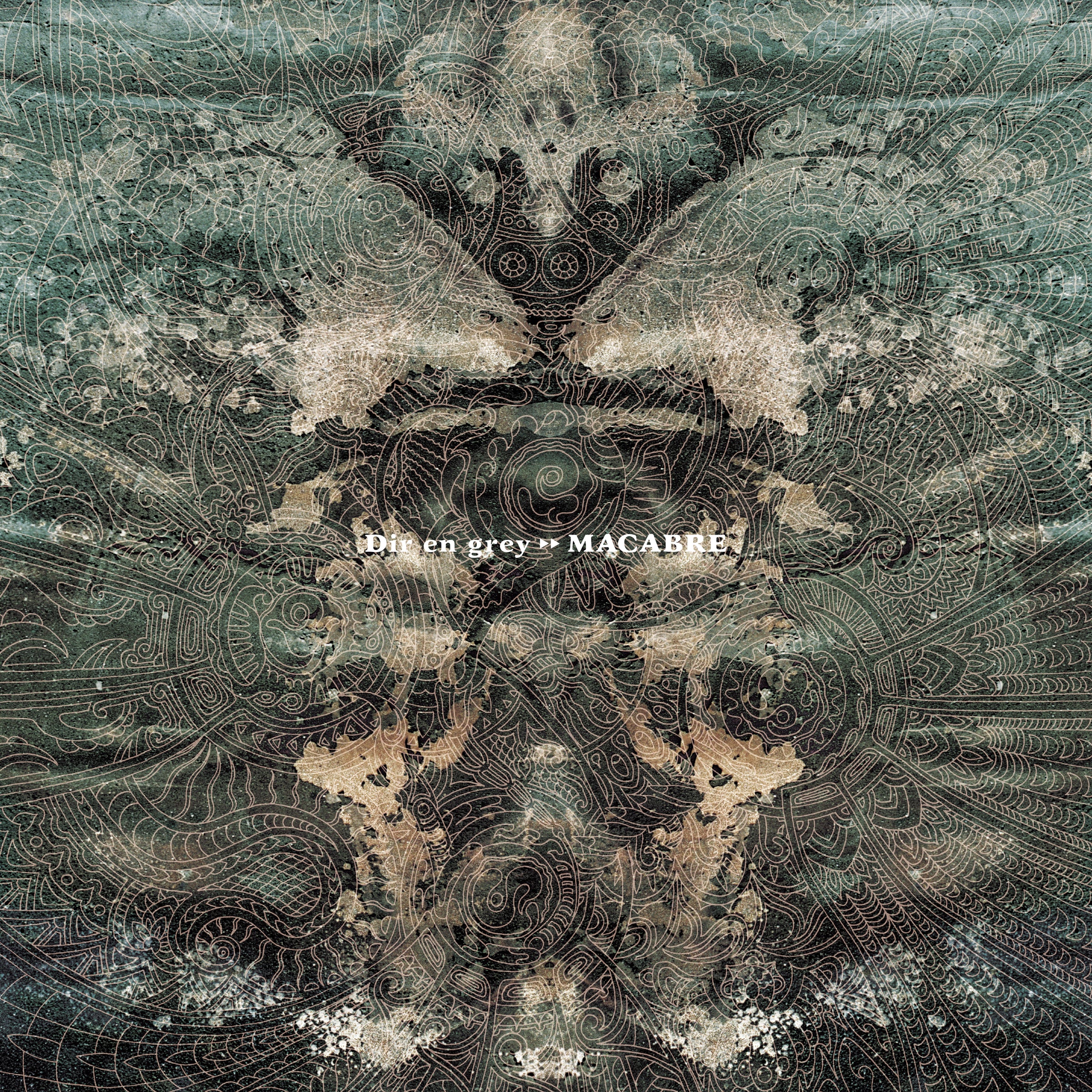 

LP Record DIR EN GREY MACABRE FWR081 FWD 2025 Japan Obi Japanese PopRock