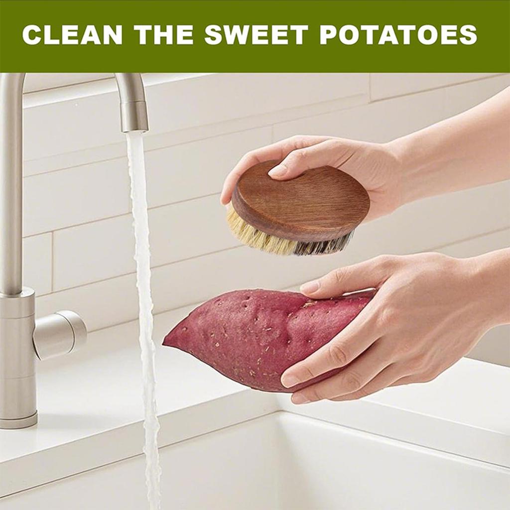 Natural Solid Wood Kitchen Cleaning Brush Dual Bristle Fruit Vegetable Scrub Brush Dish Pot Sink Scrubber with Hanging Rope for Potato Carrot Cookware