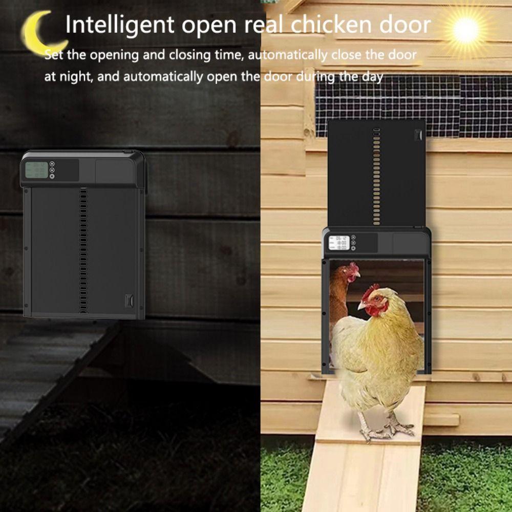 Automatic Electric Chicken Gate Timer Control Pet Flap Accessories Auto Chicken Door Opener  House