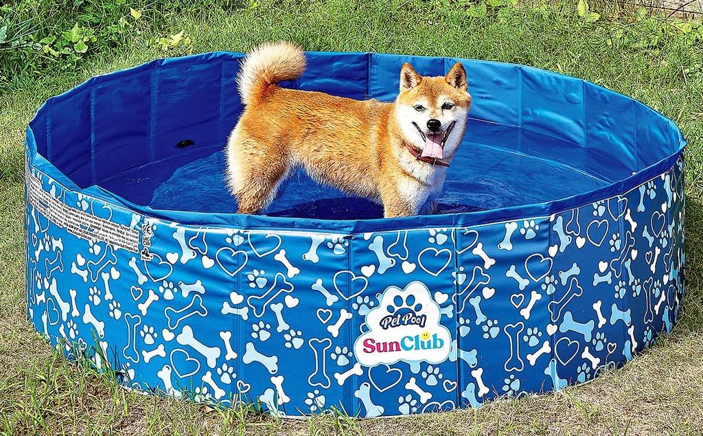 JILONG Folding Pool for Pets, 120 X 120 X 30 Cm with Drain Plug, JL-685436 BL, Medium Size