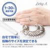 Ring Gauge with Ring Gauge Rod [Lety A] No. 1-30