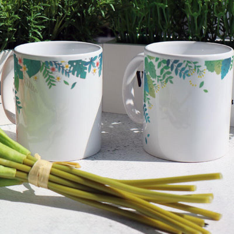 pa410-Design Mug 2p-12 Monthly Flower 4