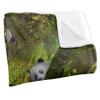 JQ Licensing Family Panda Supersoft Blanket