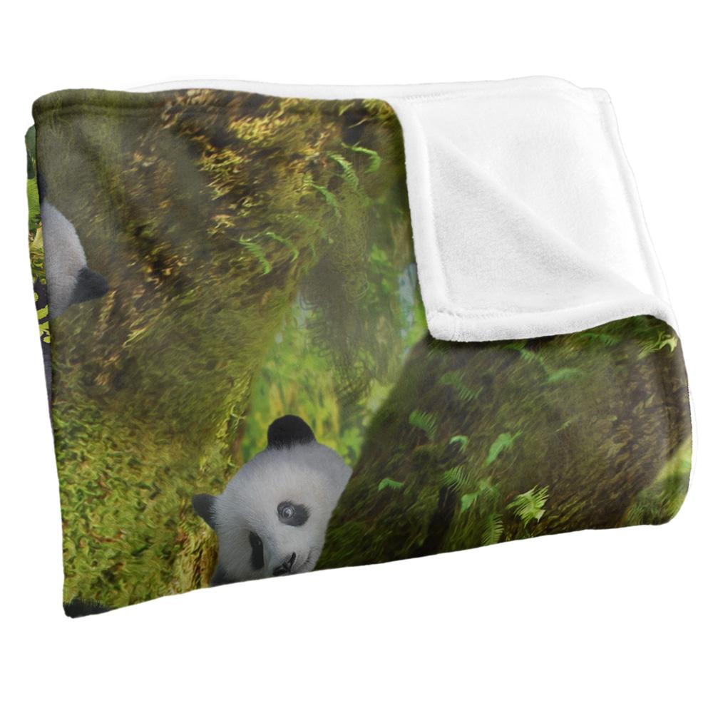 JQ Licensing Family Panda Supersoft Blanket