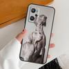 Weimaraner Dog For Realme 14 10 11 12 13 Pro Plus GT6 GT7 15 Pro C65 C67 C63 C61 C55 C51 C53 C35 C75 Case