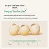 TRT Xiangtan Peeled Cored Lotus Seeds