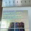100 Stück 3x2cm GARANTIE ERLISCHT BEI SIEGELBRUCH Silber Hologramm Manipulationssicheres Etikett Aufkleber Entfernungsfest Fälschungssicher Stempel