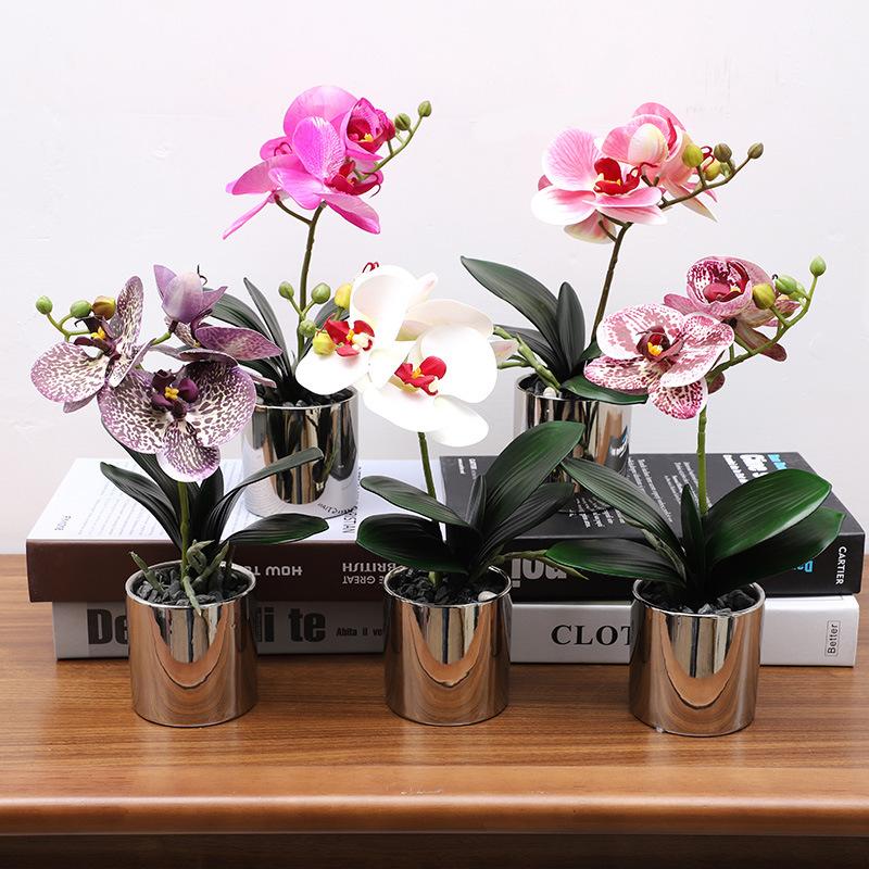 Simulation Plant Phalaenopsis Pot Home Living Room Decoration Fake Flower Flower Pot Simulation Flower Factory Wholesale