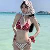 Seaside Vacation Small Fresh Swimsuit Female Sexy Bikini Lace Three-point Korean Ins Hot Girl Beach