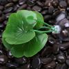 Betta Leaf Hammock BettaFish Leaf Bed Resting Leaf Pad Natural Environment Fish Spawning Grounds Fishtanks Accessories