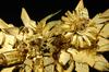 Kotobukiya (Kotobukiya) King of Braves GaoGaiGar FINAL AMAKUNITECH Genesic GaoGaiGar Golden God of Destruction Ver. Total height approximately 180mm