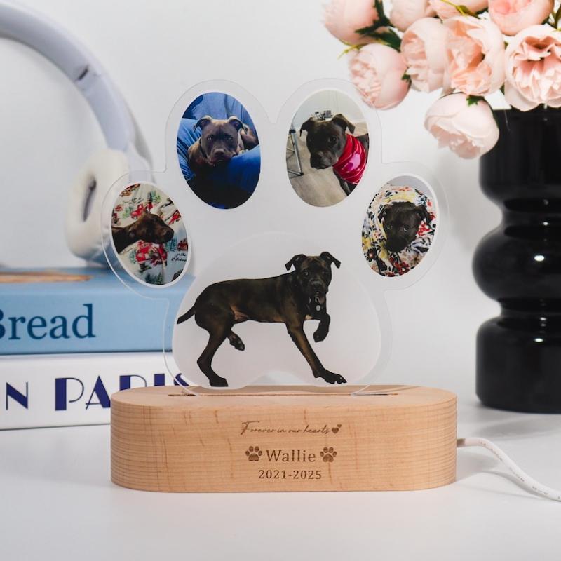 Women Personalized Dog Photo Night Light Custom Paw Collage LED Lamp Pet Memorial Gift For Dog Lover Dog Mothers Day