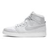 Jordan 1 Retro Ajko Pure Platinum 638471-004