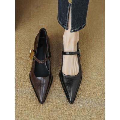 Spring High-end Pointed Mary Jane Metal One-word Buckle Retro Light Mouth Thick Heel Single Shoes Women