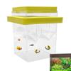 Fischzuchtbox Schwimmend Kleine Garnelen Trennwand Brutkasten Mit Saugnäpfen Guppy Betta Fisch Isolierbox Für