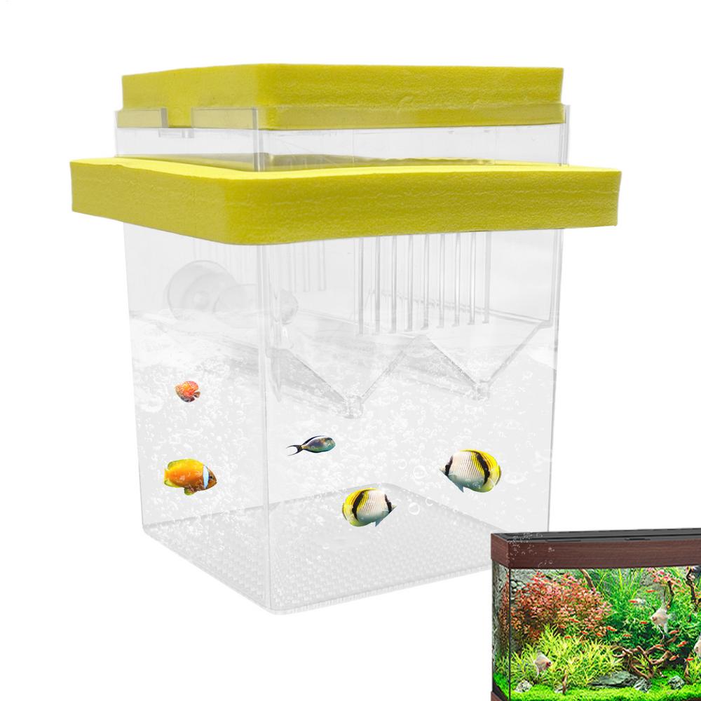 Fischzuchtbox Schwimmend Kleine Garnelen Trennwand Brutkasten Mit Saugnäpfen Guppy Betta Fisch Isolierbox Für