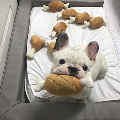 Köpek – Köpek oyuncakları